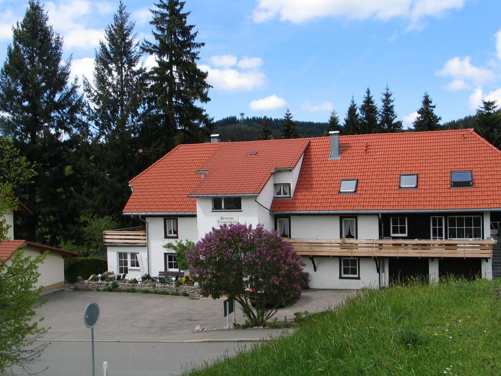 Pension Tannenheim Schluchsee Zewnętrze zdjęcie