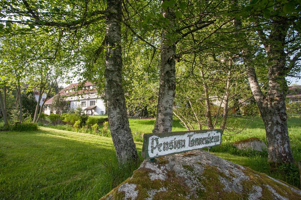 Pension Tannenheim Schluchsee Zewnętrze zdjęcie