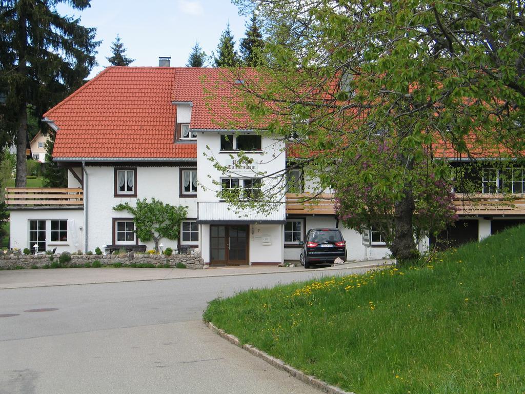 Pension Tannenheim Schluchsee Zewnętrze zdjęcie