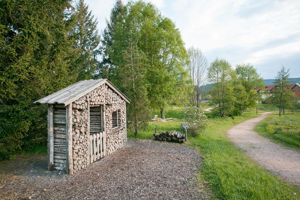 Pension Tannenheim Schluchsee Zewnętrze zdjęcie