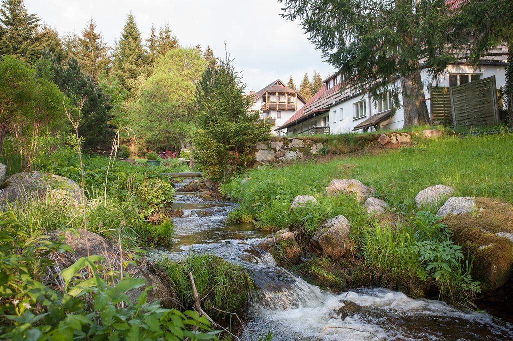 Pension Tannenheim Schluchsee Zewnętrze zdjęcie
